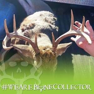 Meet your Posher, Billy